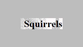 Squirrels